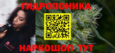 2c-b Партизанск
