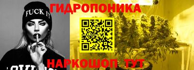 прущие грибы Первоуральск
