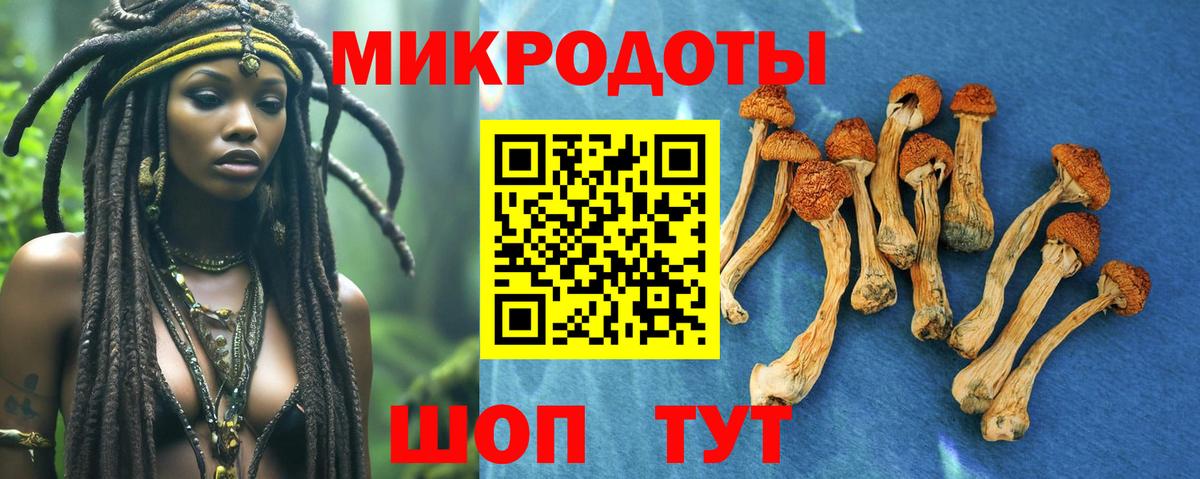 Соликамск  Галлюциногенные грибы Psilocybe  Вход с VPN 
