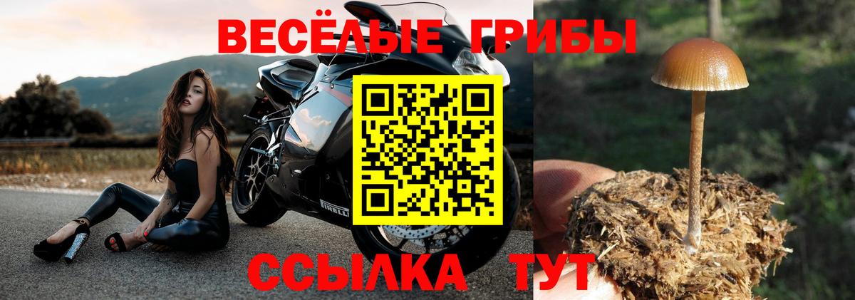 Галлюциногенные грибы MAGIC MUSHROOMS Соликамск